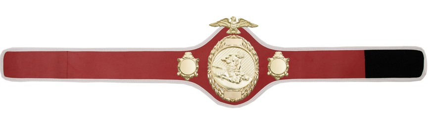 MMA CHAMPIONSHIP BELT- PRO288/G/MMAG - 10 COLOURS MMA CHAMPIONSHIP BELT- PRO288/G/MMAG - 10 COLOURS